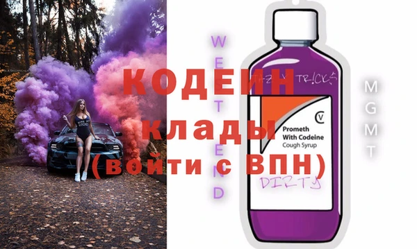 шишки Богородицк